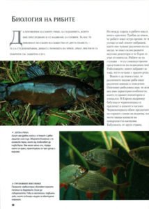 Книга – Пълна енциклопедия на риболова